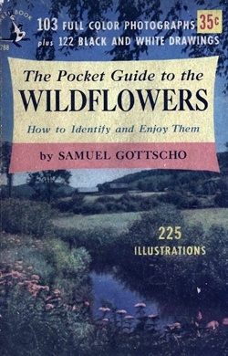 The pocket guide to the wildflowers