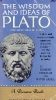 The wisdom and ideas of Plato