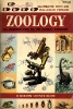 Zoology : an introduction to the animal kingdom