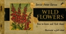 A pocket book of wild flowers